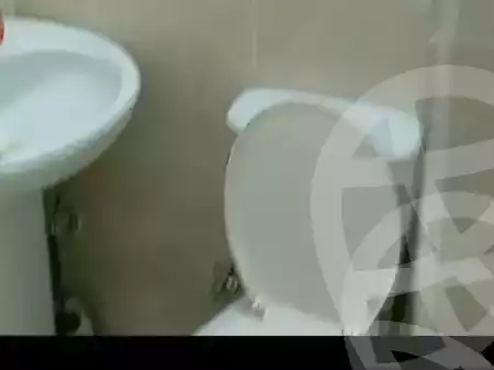 https://aqarmap.com.eg/en/listing/5239279-for-sale-cairo-al-zamalek-shr-th-hsyn