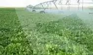 https://aqarmap.com.eg/en/listing/6013288-for-sale-alexandria-cairo-alexandria-desert-road