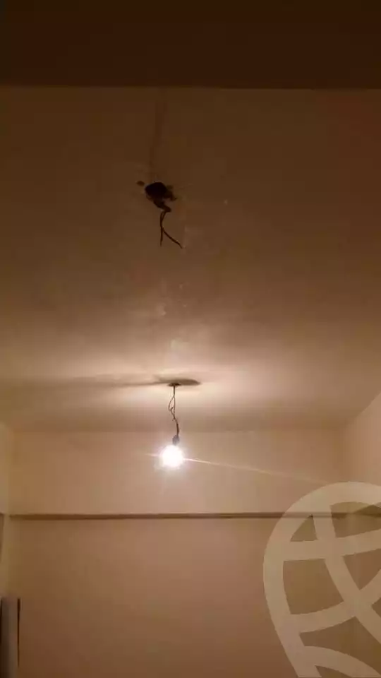https://aqarmap.com.eg/en/listing/5243119-for-rent-alexandria-ganaklis-shr-bw-qyr-tryq-lhry