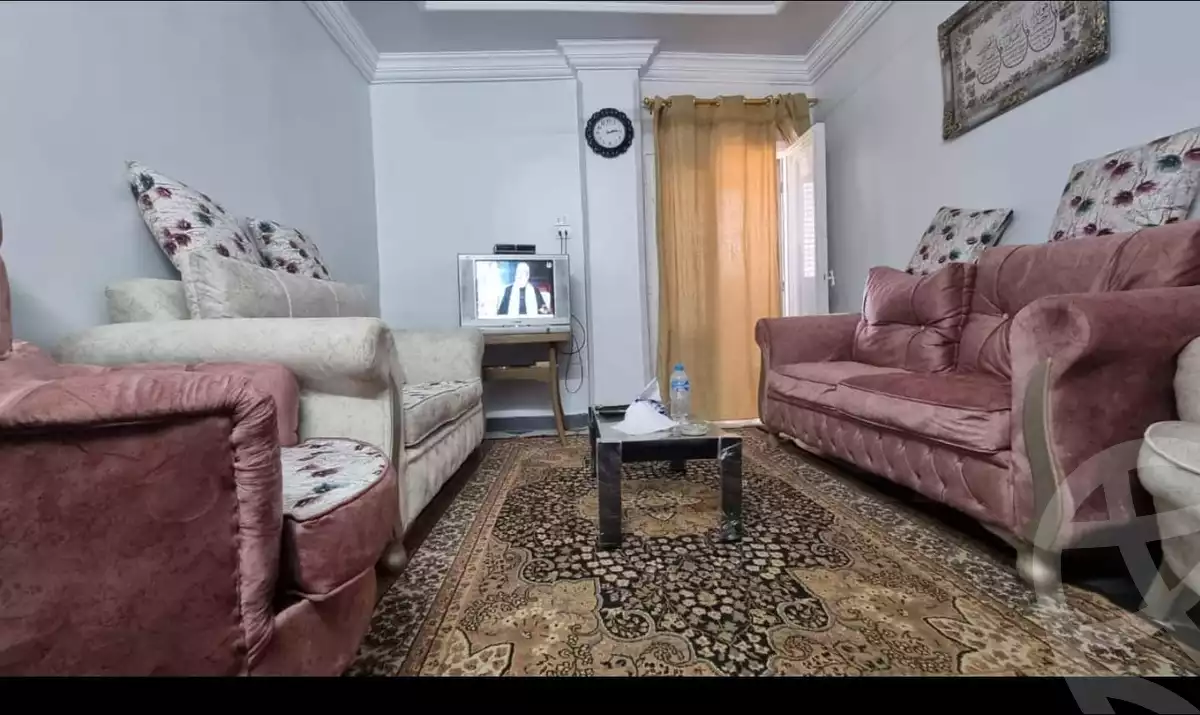 https://aqarmap.com.eg/en/listing/5246777-for-rent-suez-suez-city-suez-city