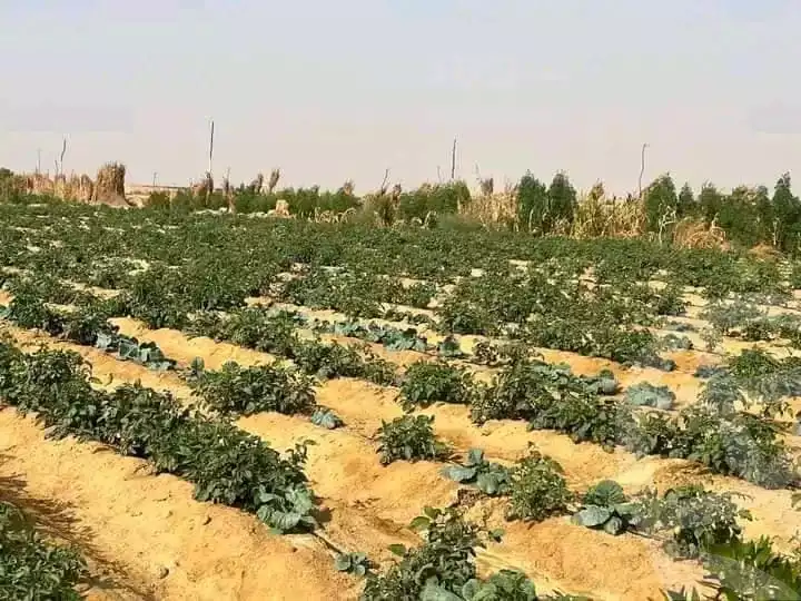 https://aqarmap.com.eg/ar/listing/5246824-for-sale-cairo-other-neighborhoods-in-greater-cairo