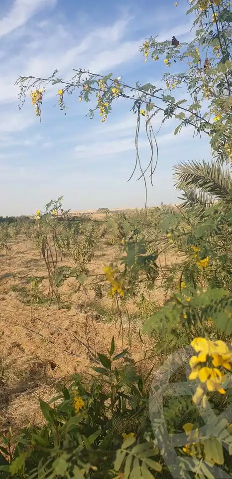 https://aqarmap.com.eg/ar/listing/5246824-for-sale-cairo-other-neighborhoods-in-greater-cairo