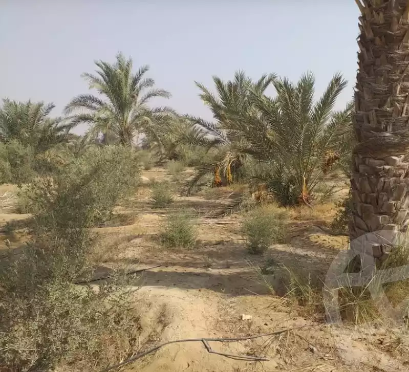 https://aqarmap.com.eg/en/listing/5254324-for-sale-beni-suef-mdyn-bny-swyf-beni-suef-city