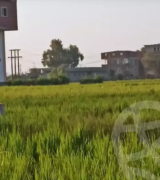 https://aqarmap.com.eg/en/listing/5254603-for-sale-gharbia-qutur