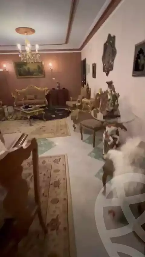 https://aqarmap.com.eg/en/listing/5272914-for-rent-cairo-mokattam-lhdb-l-ly-shareaa-9