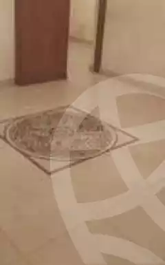 https://aqarmap.com.eg/en/listing/5290956-for-rent-cairo-al-zamalek-mahmoud-azmy-st