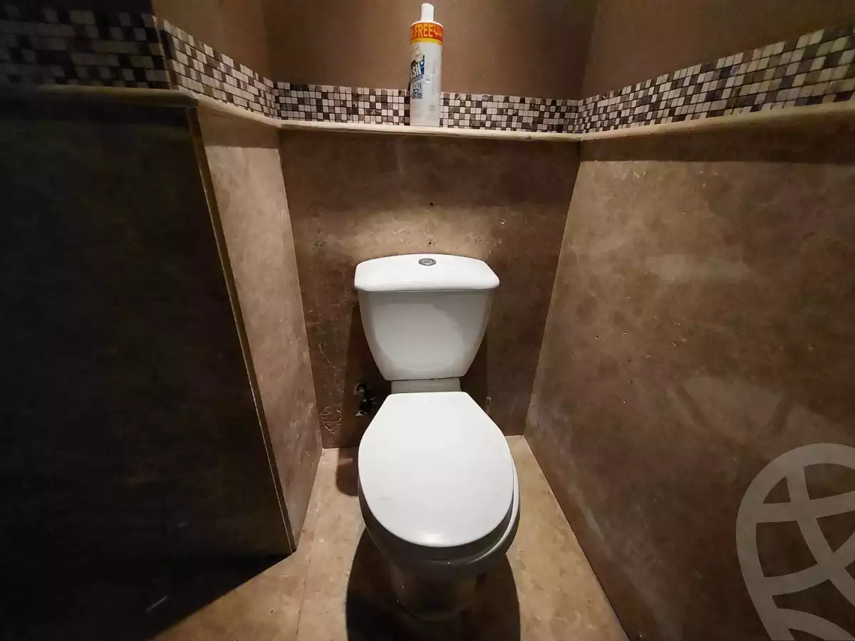 https://aqarmap.com.eg/en/listing/5291523-for-rent-cairo-dokki-mohey-el-din-abo-el-ezz