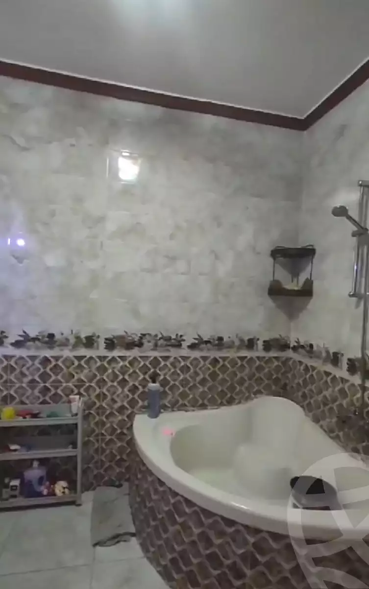 https://aqarmap.com.eg/en/listing/5300702-for-sale-cairo-ain-shams-alf-maskn