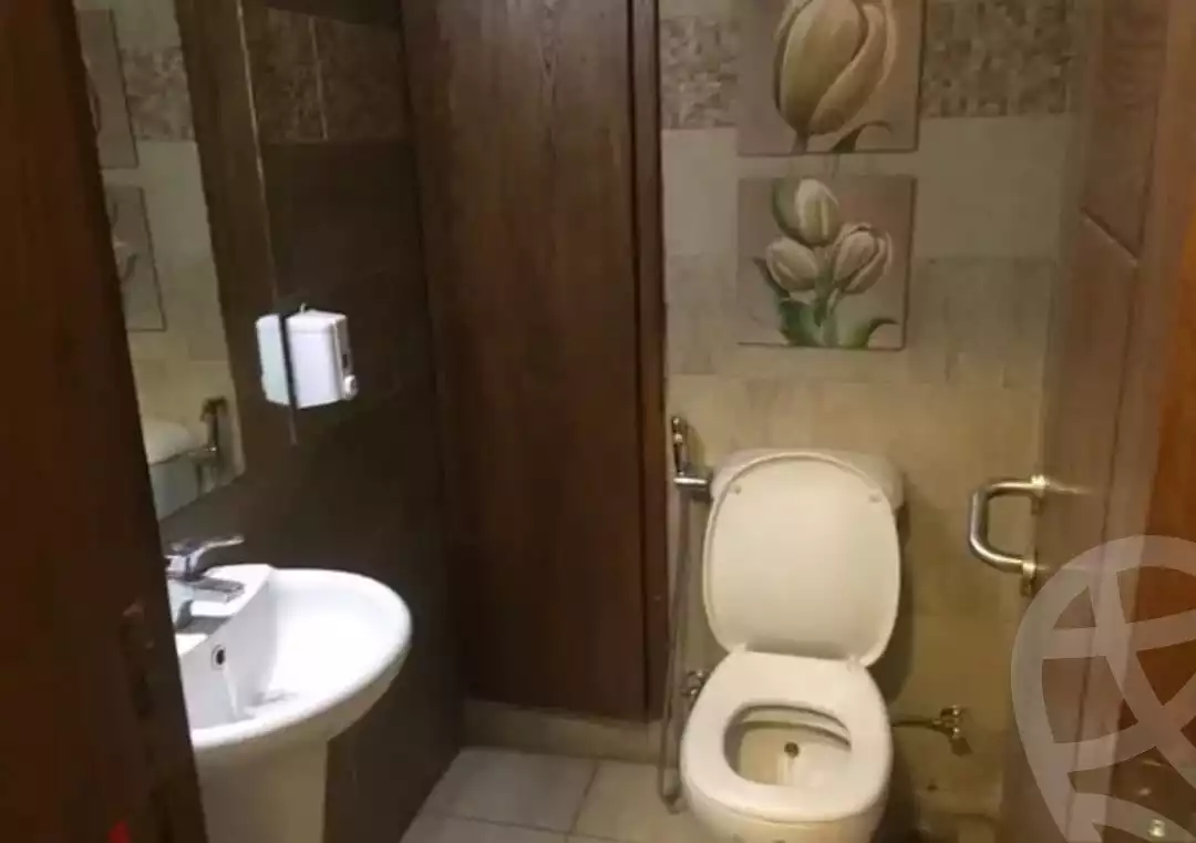 https://aqarmap.com.eg/en/listing/5304797-for-rent-cairo-dokki-mohey-el-din-abo-el-ezz