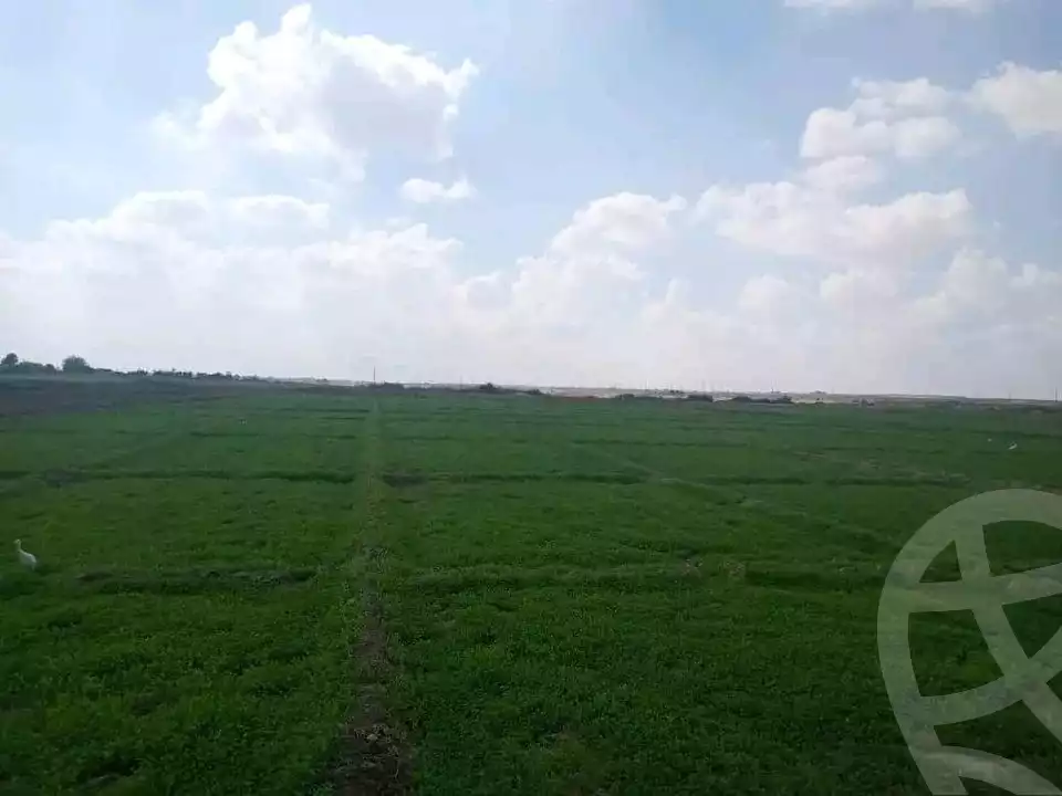 https://aqarmap.com.eg/en/listing/5308300-for-sale-el-fayoum