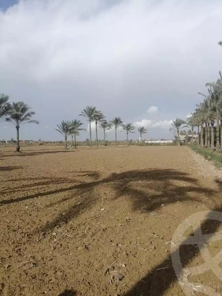 https://aqarmap.com.eg/en/listing/5318208-for-sale-alexandria-el-amreya