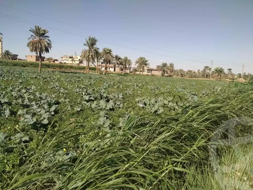 https://aqarmap.com.eg/en/listing/5320012-for-sale-alexandria-cairo-alexandria-desert-road