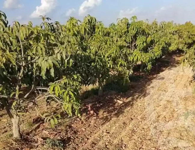 https://aqarmap.com.eg/en/listing/5321737-for-sale-beheira-wadi-el-natrun