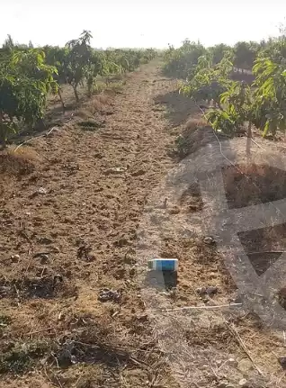 https://aqarmap.com.eg/en/listing/5323740-for-sale-beheira-wadi-el-natrun
