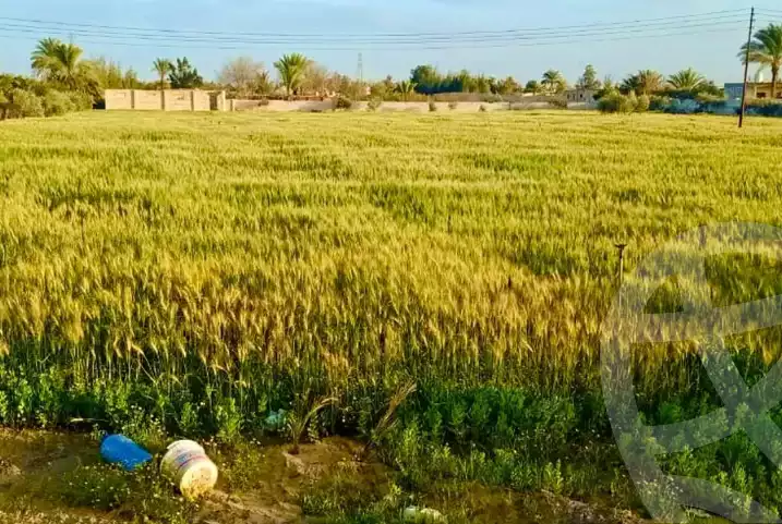 https://aqarmap.com.eg/en/listing/5323785-for-sale-beheira-wadi-el-natrun