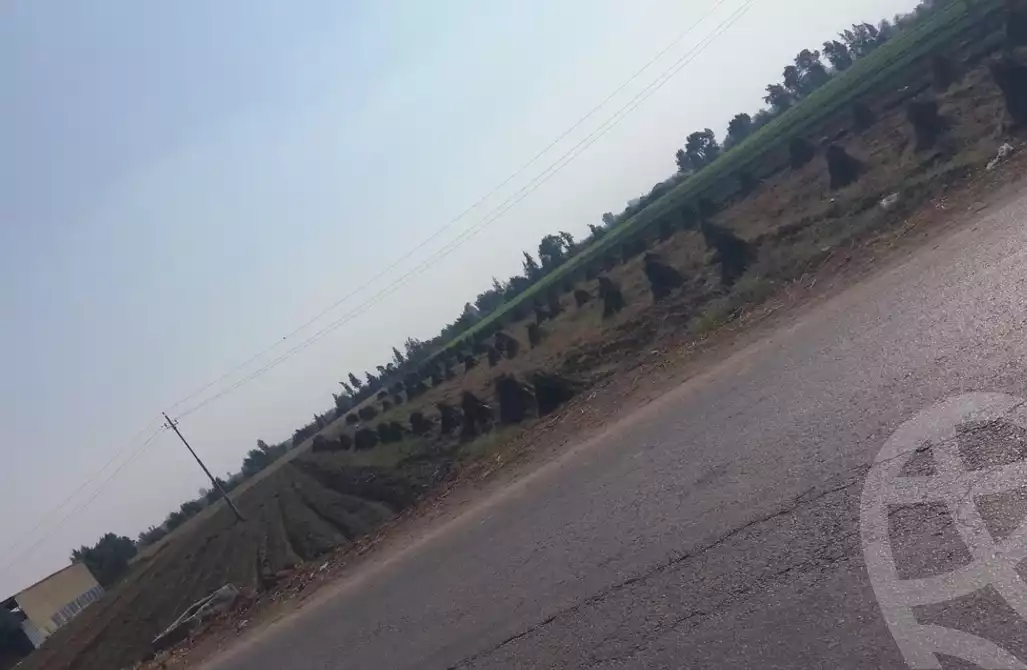 https://aqarmap.com.eg/en/listing/5326117-for-sale-kafr-el-sheikh-mntq-fr-y-bkfr-lshykh