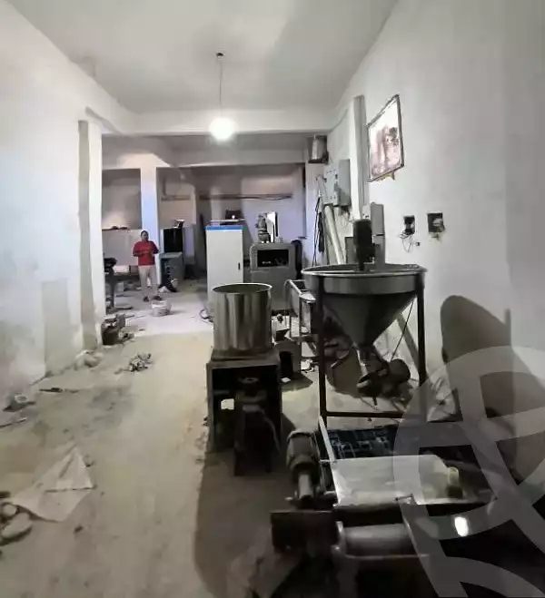 https://aqarmap.com.eg/en/listing/5345336-for-rent-alexandria-el-amreya
