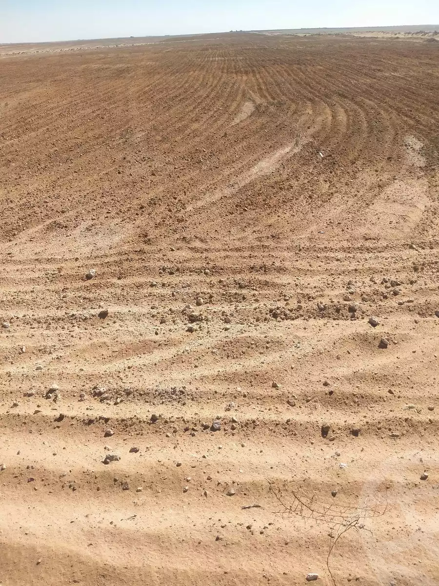 https://aqarmap.com.eg/en/listing/5347645-for-sale-beheira-wadi-el-natrun