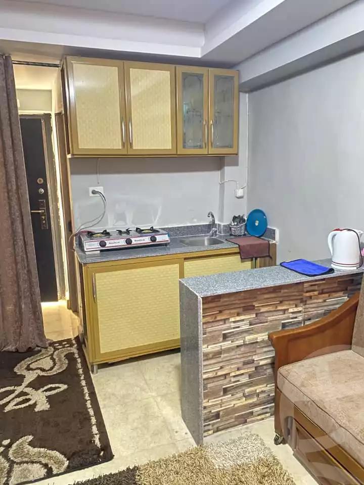 https://aqarmap.com.eg/en/listing/5348478-for-rent-cairo-el-agouza