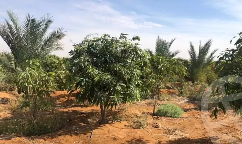 https://aqarmap.com.eg/en/listing/5349097-for-sale-suez-suez-city