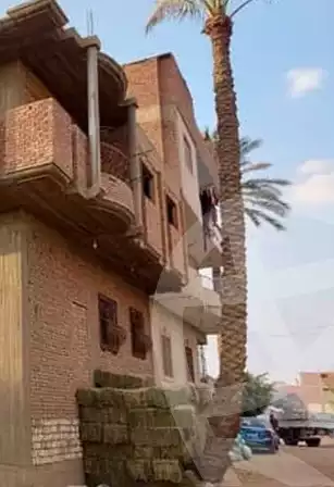 https://aqarmap.com.eg/en/listing/5350114-for-sale-gharbia-el-mahallah-el-kubra-qaret-el-amerya