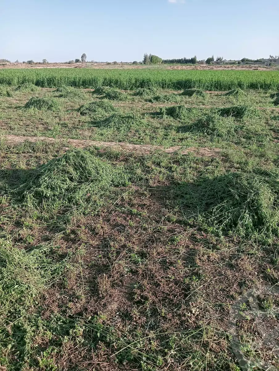 https://aqarmap.com.eg/en/listing/5362852-for-sale-beheira-wadi-el-natrun