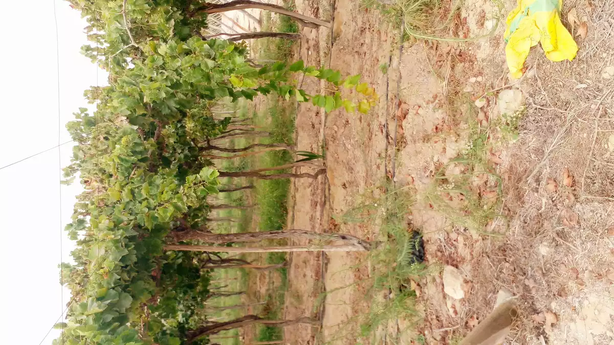 https://aqarmap.com.eg/en/listing/5369795-for-sale-beheira-wadi-el-natrun