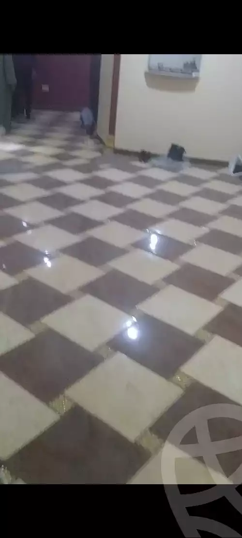 https://aqarmap.com.eg/en/listing/5370024-for-sale-cairo-ain-shams-jsr-lswys-kamal-hegab-st