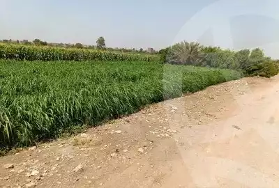 https://aqarmap.com.eg/en/listing/5373098-for-sale-monufia-shibin-el-kom