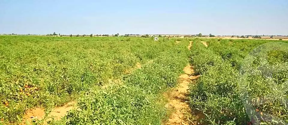 https://aqarmap.com.eg/ar/listing/5373173-for-sale-alexandria-cairo-alexandria-desert-road