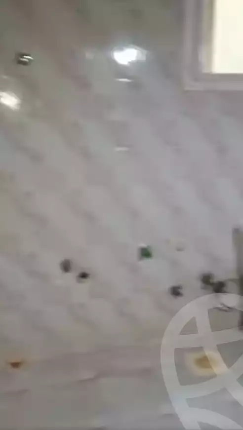 https://aqarmap.com.eg/en/listing/5378714-for-rent-sharqia-zagazig