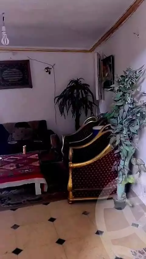 https://aqarmap.com.eg/en/listing/5376383-for-sale-cairo-el-haram-shareaa-khatem-el-morsalen