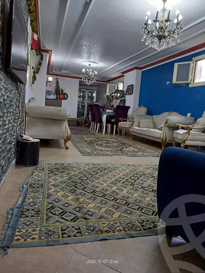 https://aqarmap.com.eg/en/listing/5387050-for-sale-cairo-shoubra-jzyr-bdrn-teraat-gazirat-badran
