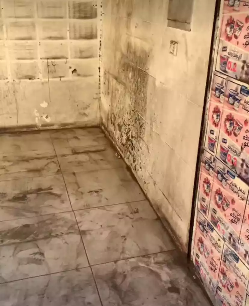 https://aqarmap.com.eg/en/listing/5387058-for-rent-cairo-shoubra-el-sahel-gesr-al-bahr-st