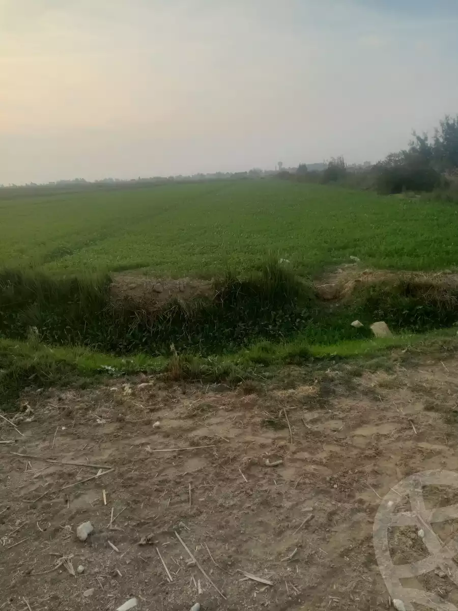 https://aqarmap.com.eg/en/listing/5390616-for-sale-alexandria-el-amreya