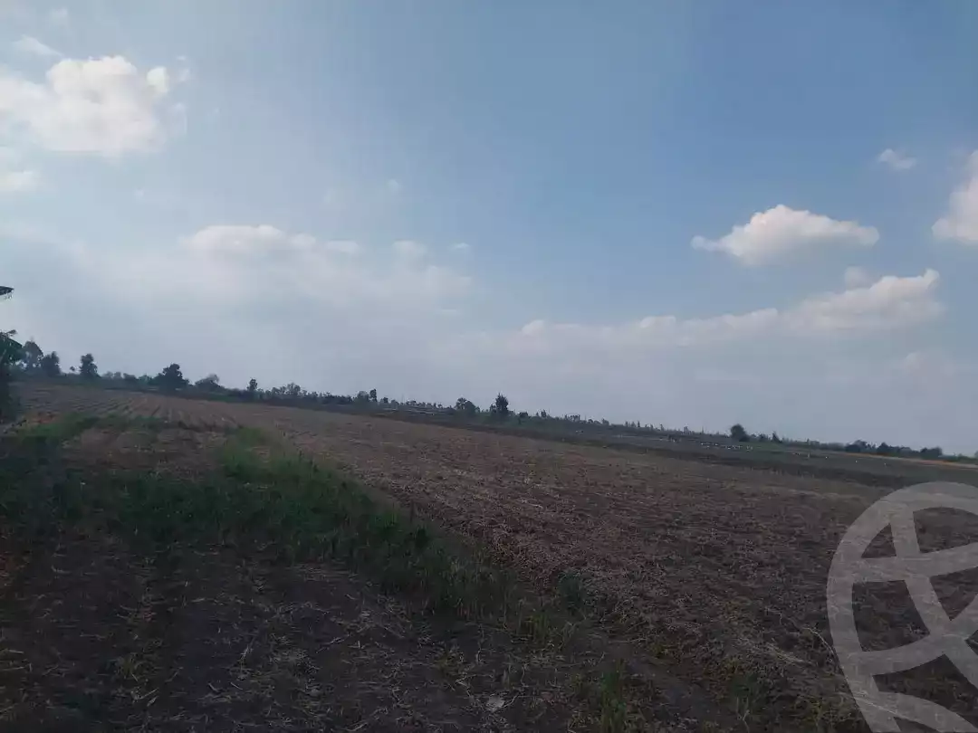 https://aqarmap.com.eg/en/listing/5394822-for-sale-dakahlia-dekernes-met-el-sodan