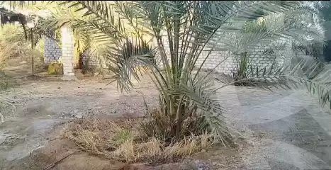 https://aqarmap.com.eg/en/listing/5400200-for-sale-cairo-ljyz-bahariya-oasis