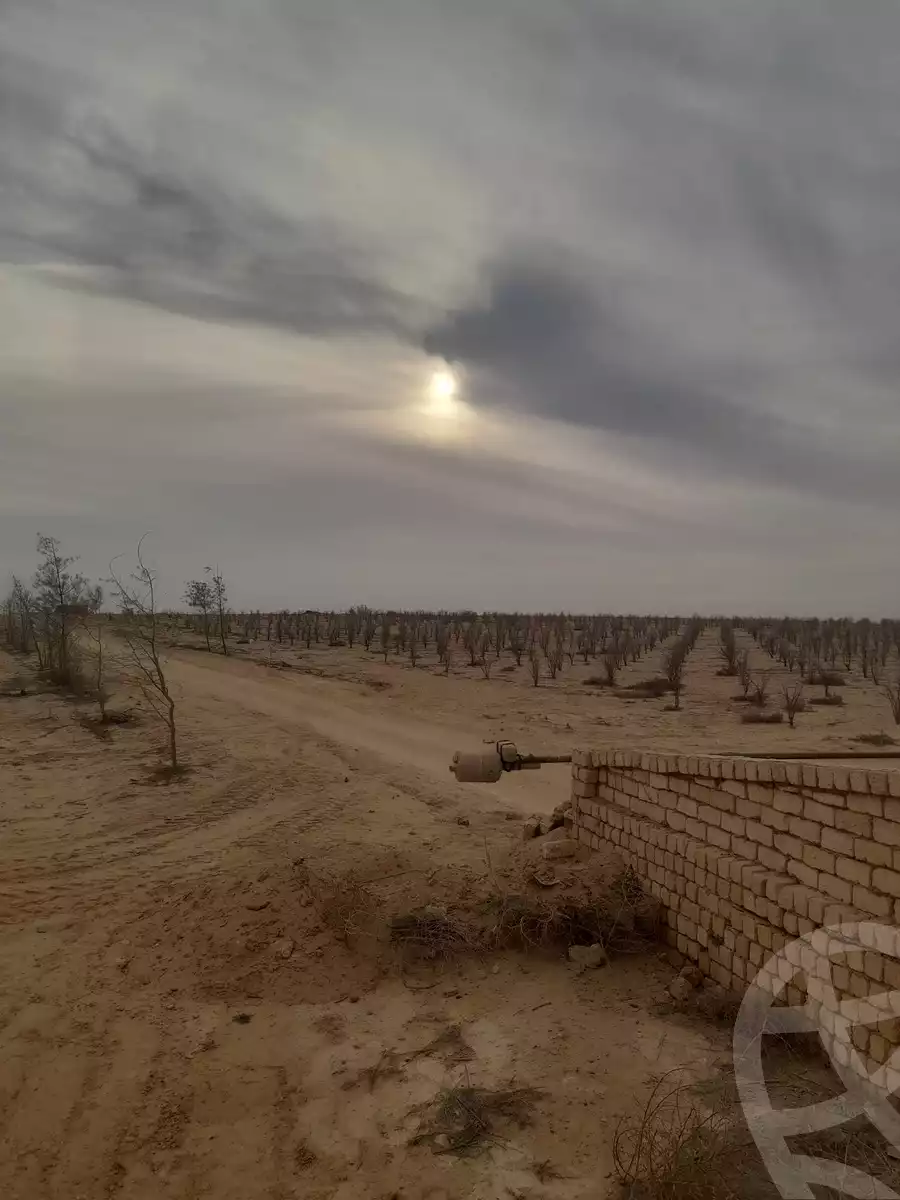 https://aqarmap.com.eg/ar/listing/5400203-for-sale-beheira-wadi-el-natrun