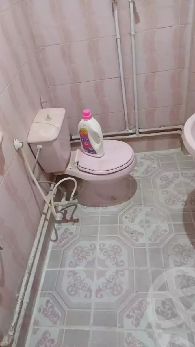 https://aqarmap.com.eg/en/listing/5418564-for-rent-cairo-el-zaytun-hlmy-lzytwn