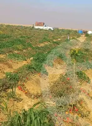 https://aqarmap.com.eg/ar/listing/5424264-for-sale-el-fayoum-fayoum