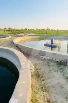 https://aqarmap.com.eg/ar/listing/5424273-for-sale-el-fayoum-fayoum