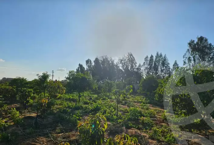 https://aqarmap.com.eg/en/listing/5425964-for-sale-ismailia-ismailia-city