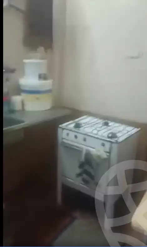 https://aqarmap.com.eg/en/listing/5427224-for-sale-cairo-ain-shams-mnshy-lthryr