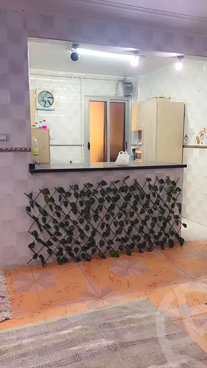 https://aqarmap.com.eg/en/listing/5429828-for-rent-cairo-helwan-el-shams-el-gedida-city
