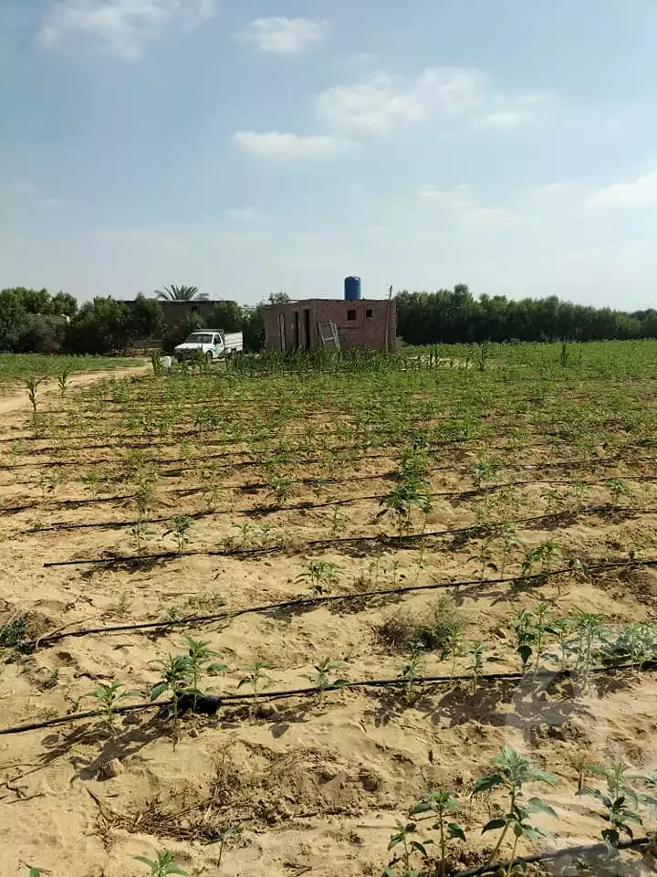 https://aqarmap.com.eg/en/listing/5433514-for-sale-beheira-wadi-el-natrun