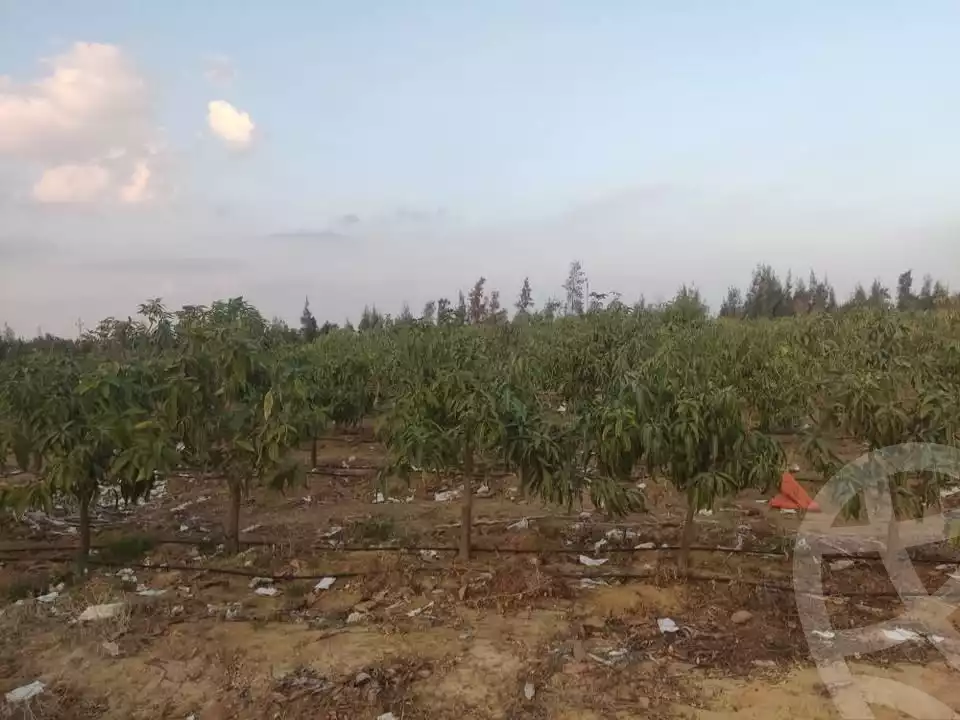 https://aqarmap.com.eg/ar/listing/5433558-for-sale-beheira-wadi-el-natrun