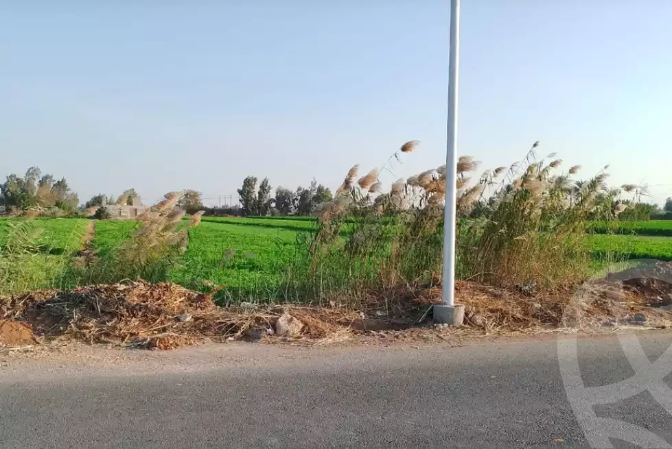 https://aqarmap.com.eg/en/listing/5434059-for-sale-sharqia-minya-el-qamh