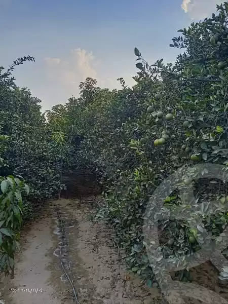 https://aqarmap.com.eg/en/listing/5436108-for-sale-ismailia-ismailia-city