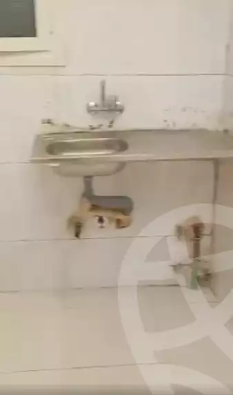 https://aqarmap.com.eg/ar/listing/5441717-for-sale-cairo-faisal-awel-faisal