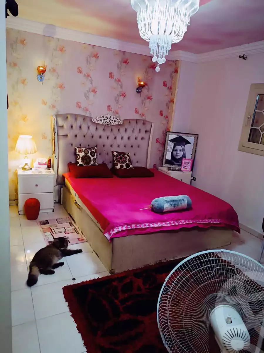 https://aqarmap.com.eg/en/listing/5442508-for-sale-cairo-faisal-el-talbeya-moustafa-refae